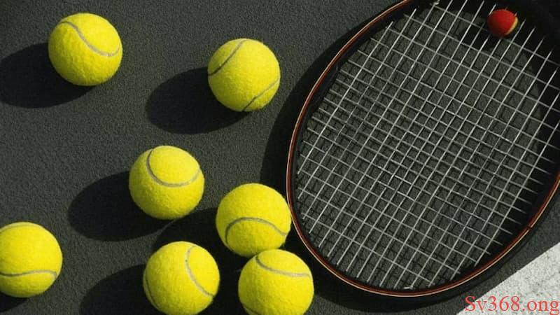 Các loại hình thức cá cược