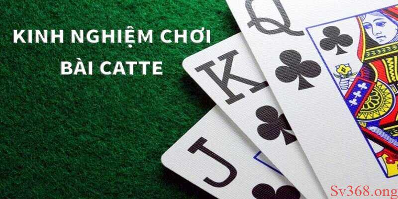 cách chơi game bài Catte cách chơi game bài Catte