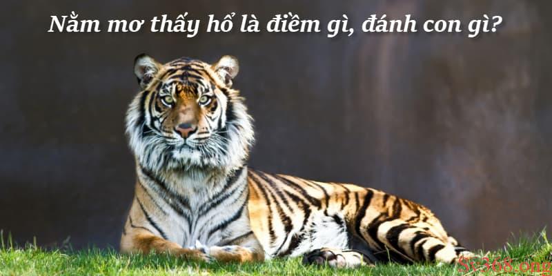 Nằm mơ thấy cọp bị nhốt trong chuồng