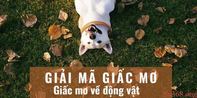 nằm mơ thấy nhiều con vật Giải mã giấc mơ nhiều con vật