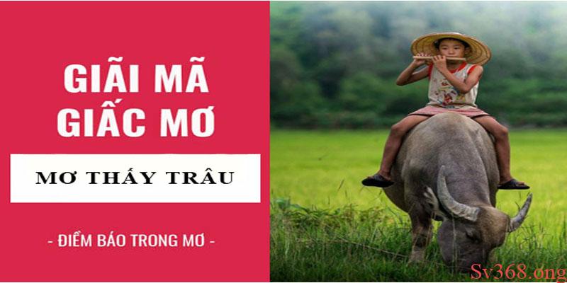 Mơ Thấy Trâu Là Điềm Gì? Con Số Khi Mơ Thấy Trâu? 1 Mộng thấy trâu có ý nghĩa gì, gửi gắm thông điệp cuộc sống ra sao?