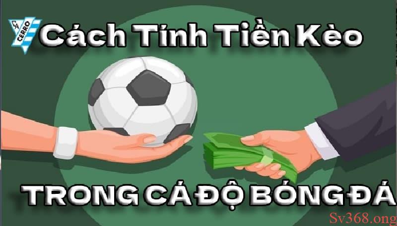 Hướng Dẫn Cách Tính Tiền Trong Cá Độ Bóng Đá Chuẩn Xác Nhất 3 Công thức tính tiền trong cá độ bóng đá khi thắng cược