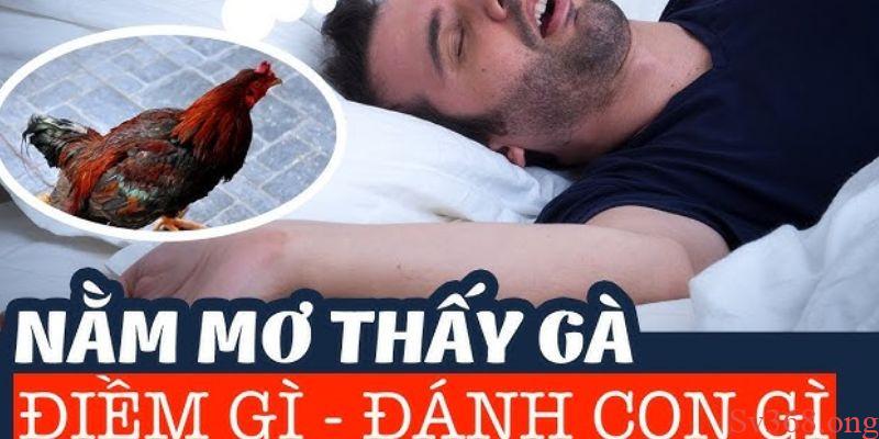 Mơ Thấy Gà Là Điềm Tốt Hay Điềm Xấu Và Con Số May Mắn 2025 3 Ý nghĩa khi mơ thấy gà tốt là điềm tốt hay xấu
