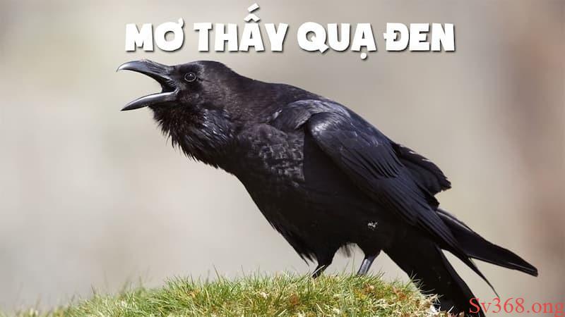Giải Mã Giấc Mơ Thấy Quạ Đen - Chọn Số Gì Để May Mắn? 7 mơ thấy quạ đen