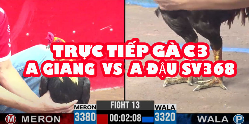 A Giang Thách Thức Đẳng Cấp SV368: So Kè A Đậu Trong Kèo 30 Triệu! 9 A Giang Thách Thức Đẳng Cấp SV368: So Kè A Đậu Trong Kèo 30 Triệu!