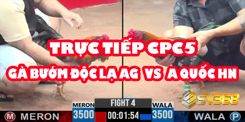 CPC5: Gà Bướm Độc Lạ An Giang có vượt qua được A.Quốc Hồng Ngự? 5 CPC5: Gà Bướm Độc Lạ An Giang có vượt qua được A.Quốc Hồng Ngự?