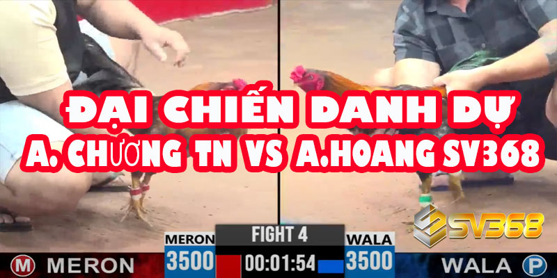 Đại Chiến Danh Dự: A Chương Tây Ninh thách đấu A Hoàng SV368 | Kèo Đồng 30 6 Đại Chiến Danh Dự: A Chương Tây Ninh thách đấu A Hoàng SV368 | Kèo Đồng 30