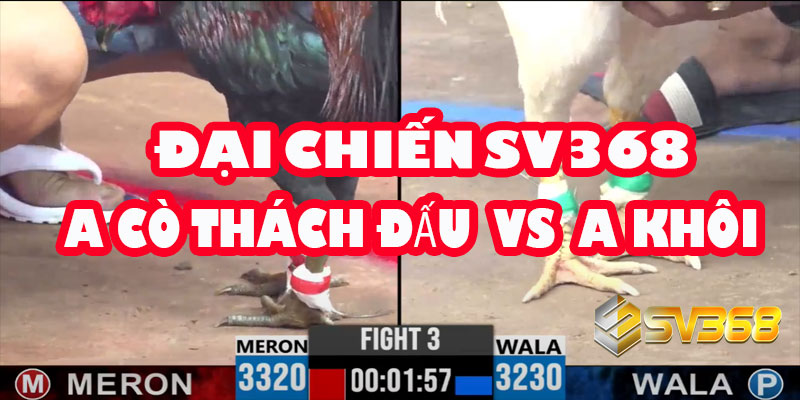 Đại Chiến SV368: A Cò thách đấu A Khôi | Huyết Chiến Kèo Cân 30 Triệu 4 Đại Chiến SV368: A Cò thách đấu A Khôi | Huyết Chiến Kèo Cân 30 Triệu