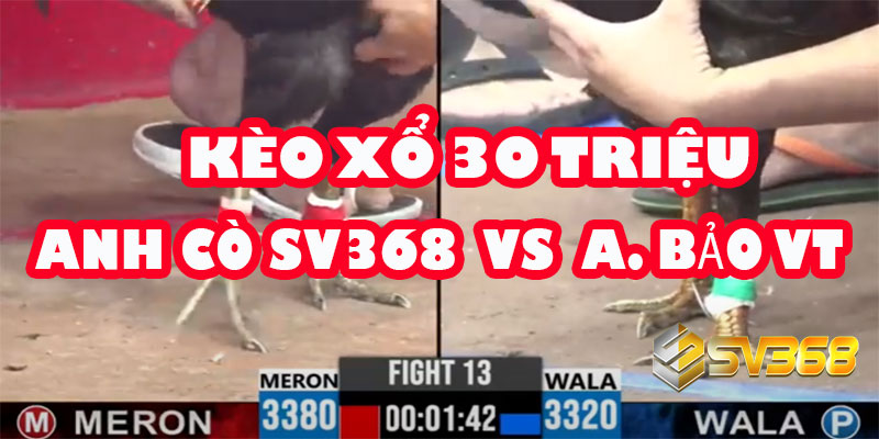 Kèo 30 Triệu: Đẳng Cấp SV368 Hay Bản Lĩnh Phố Biển Sẽ Lên Ngôi? 10 Kèo 30 Triệu: Đẳng Cấp SV368 Hay Bản Lĩnh Phố Biển Sẽ Lên Ngôi?